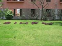 Slideshow Image 8
